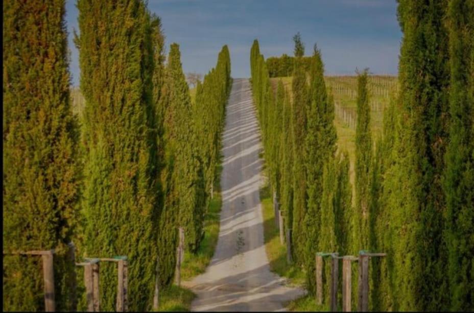 House With A View In Tuscany San Gusme Εξωτερικό φωτογραφία