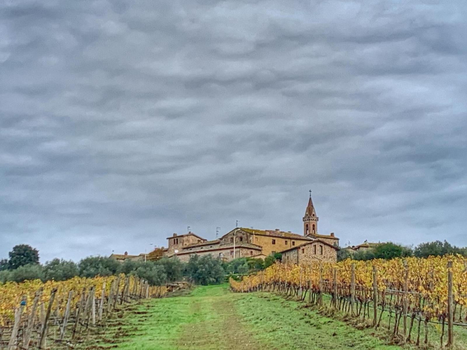 House With A View In Tuscany San Gusme Εξωτερικό φωτογραφία