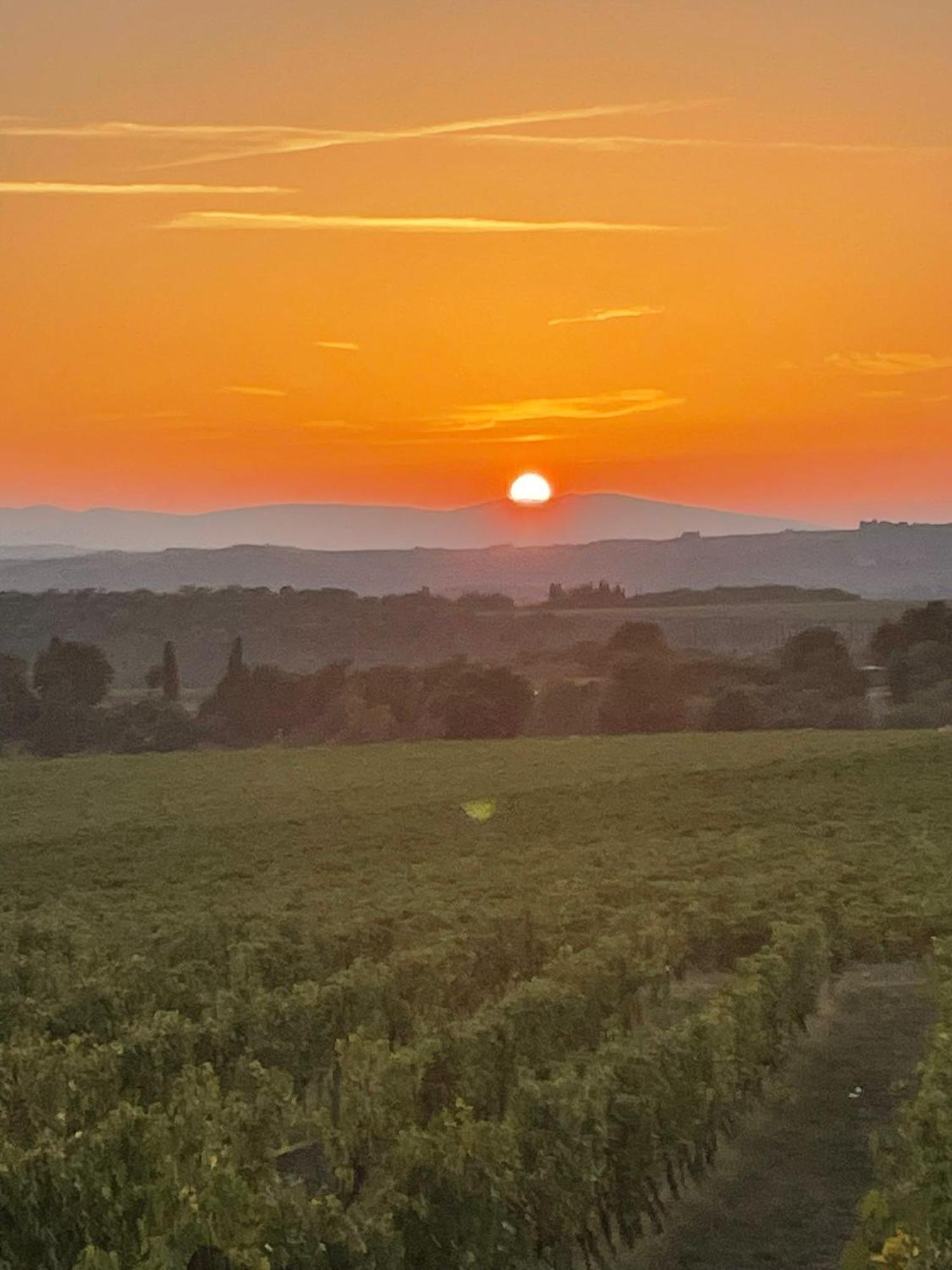 House With A View In Tuscany San Gusme Εξωτερικό φωτογραφία