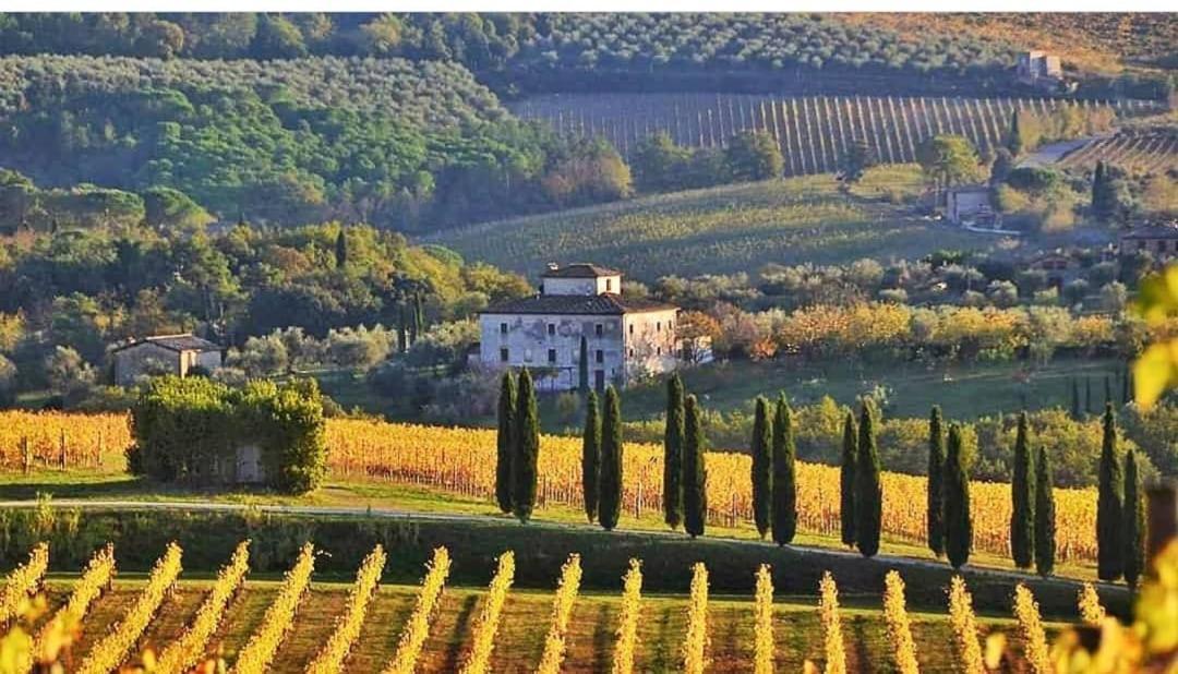 House With A View In Tuscany San Gusme Εξωτερικό φωτογραφία